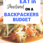 Are you backpacking Thailand on a budget? Looking for cheap food in Bangkok? This post goes through ways to stick to a $7 a day food budget while traveling Thailand. #BackpackingThailand #CheapEatsThailnd #BackpackersBudget #ThaiStreetFood #StreetFood