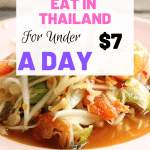 Are you backpacking Thailand on a budget? Looking for cheap food in Bangkok? This post goes through ways to stick to a $7 a day food budget while traveling Thailand. #BackpackingThailand #CheapEatsThailnd #BackpackersBudget #ThaiStreetFood #StreetFood