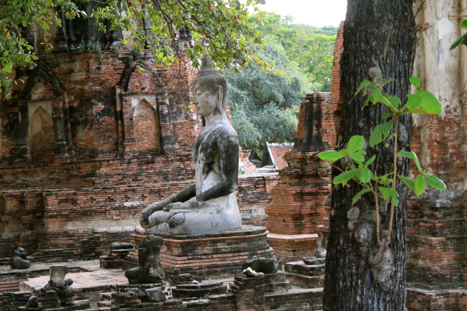A statue of a buddha sitting in the middle of ruins, found in Ayutthaya, Thailand.