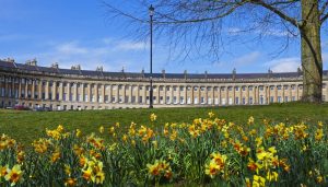Daffodils in front of a building showcasing the beauty of Bath, England.