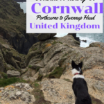 Coastal Walking in Cornwall | Porthcurno to Gwennap Head