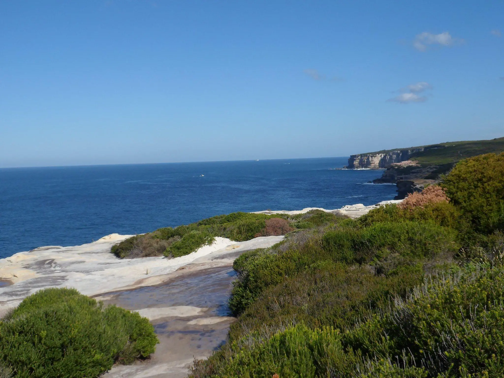 Best Coastal Walk at Royal National Park Near Sydney