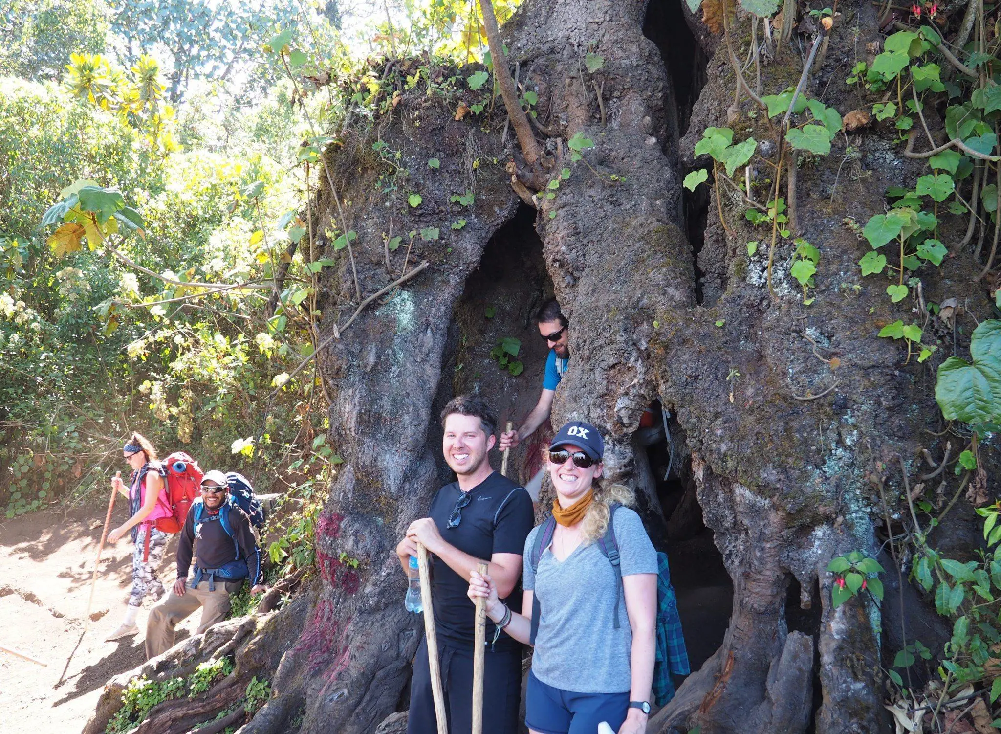 Hike Acatenango Guatemala | The Complete Guide to the Acatenango Volcano Hike