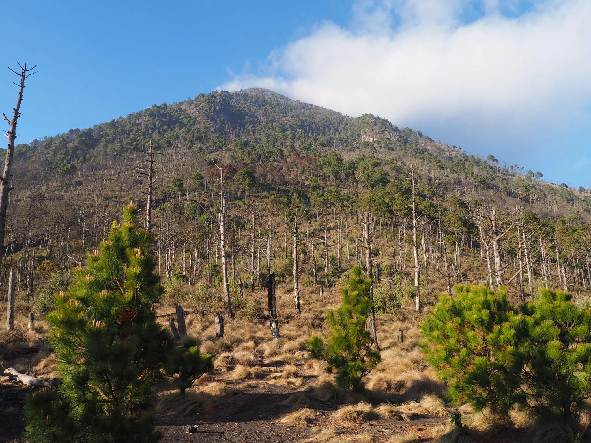 Hike Acatenango Guatemala | The Complete Guide to the Acatenango Volcano Hike