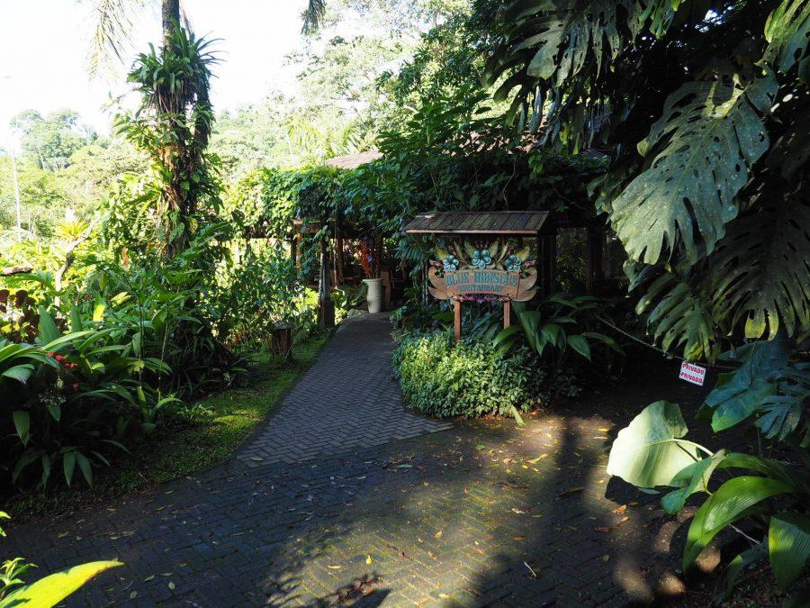 Where to stay in Costa Rica - Lost Iguana Resort