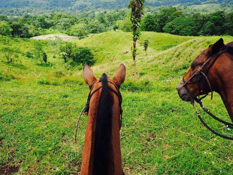 Things to do in Costa Rica - Mistico Park in La Fortuna