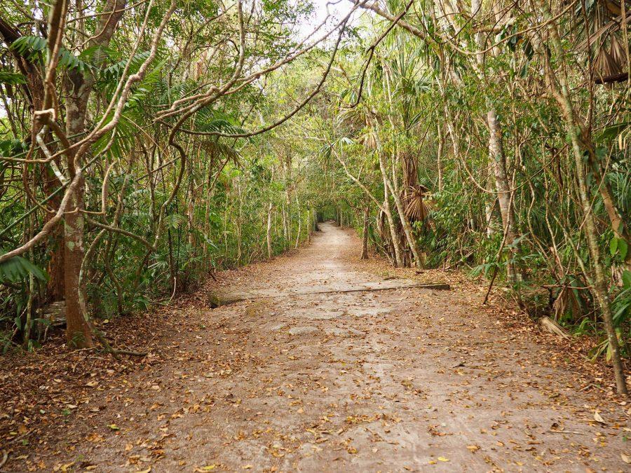 How to see Tikal in Guatemala - The ultimate guide to what not to do