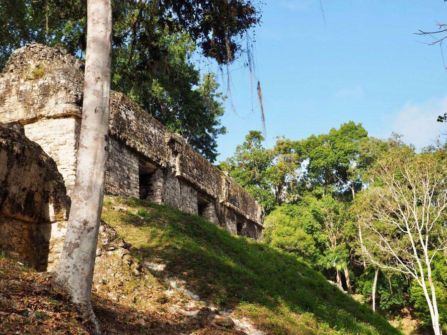 How to see Tikal in Guatemala - The ultimate guide to what not to do