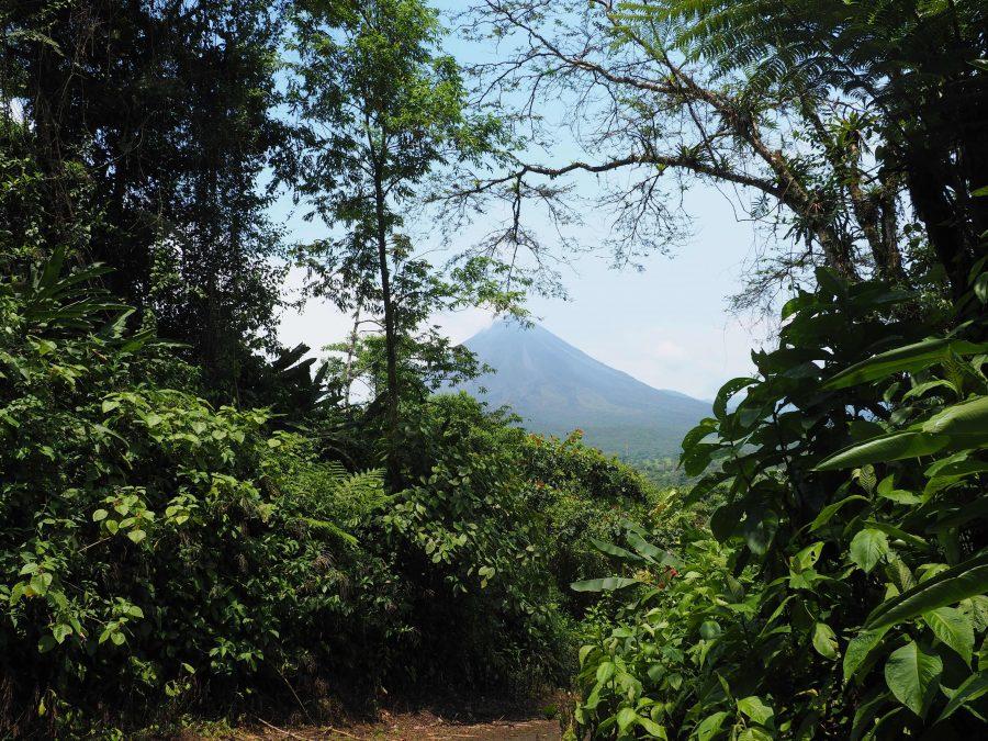 Where to stay in Costa Rica - Lost Iguana Resort