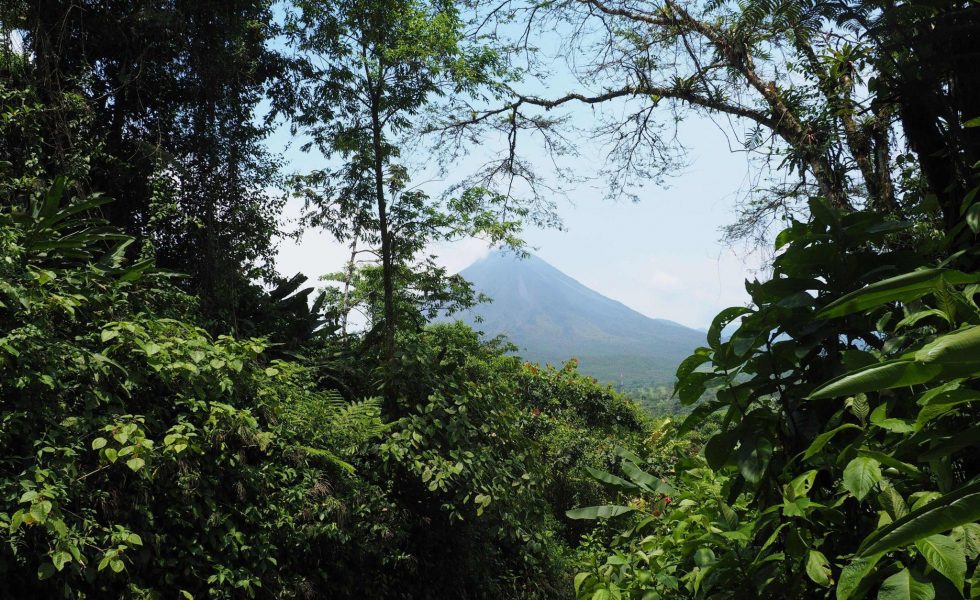 Where to stay in Costa Rica - Lost Iguana Resort