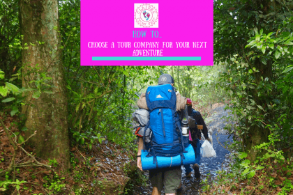 How to choose a tour company for your next adventure