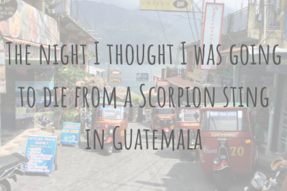 Travel Stories _ The night I thought I was going to die from a Scorpion sting in Guatemala Travel Stories | The night I thought I was going to die from a Scorpion sting in Guatemala