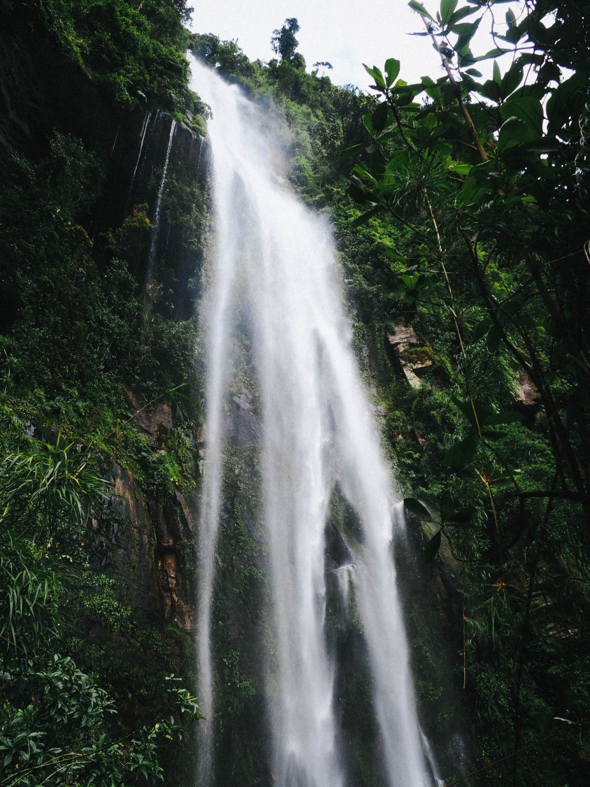 Colombia Guides | La Correra Waterfall