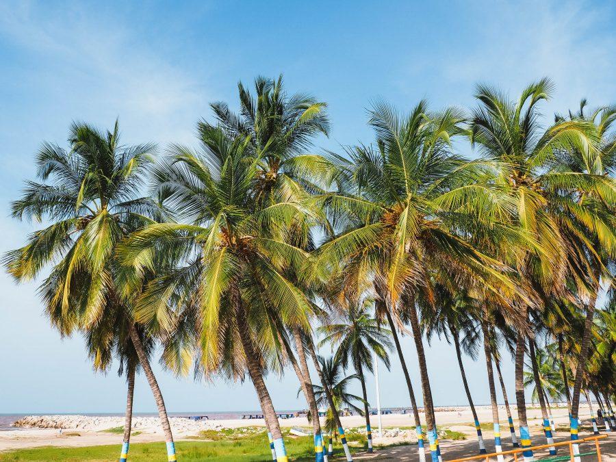 Tour Cabo de la Vela (and Punta Gallinas) in Colombia