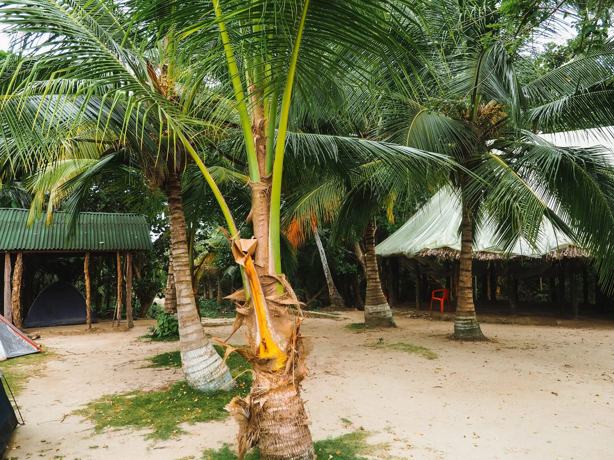 Colombia Guides | Top Tips for visiting Parque Tayrona