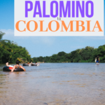 Colombia Guides | Things to do in Palomino Colombia