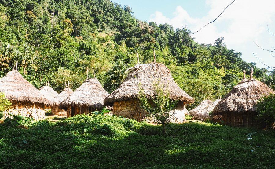 Ciudad Perdida Tour,lost city trek colombia