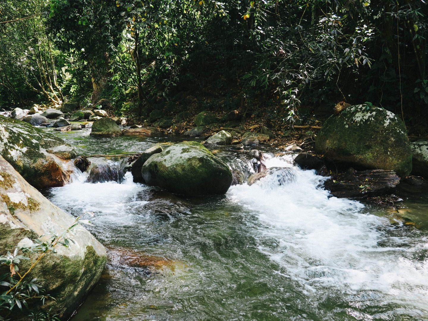 Minca Colombia Things to do in Minca including where to stay