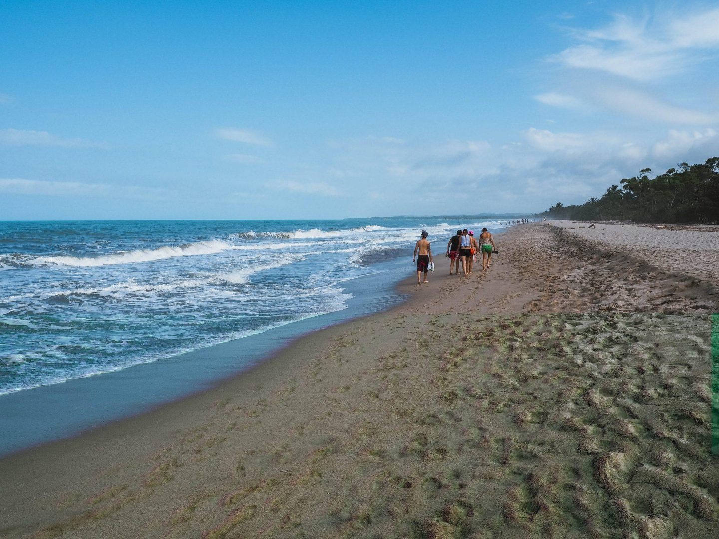 Colombia Guides Things to do in Palomino Colombia