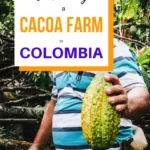 Colombia Adventures | Visiting a Cacao Farm in Colombia