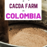 Colombia Adventures | Visiting a Cacao Farm in Colombia
