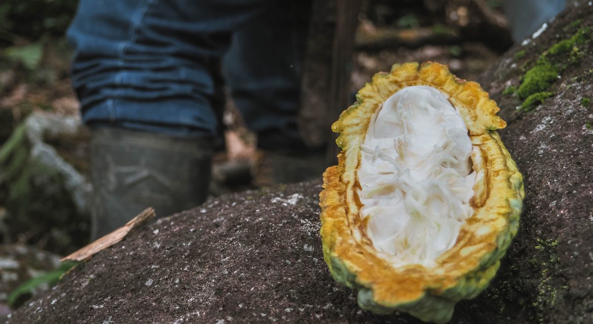 Colombia Adventures | Visiting a Cacao Farm in Colombia
