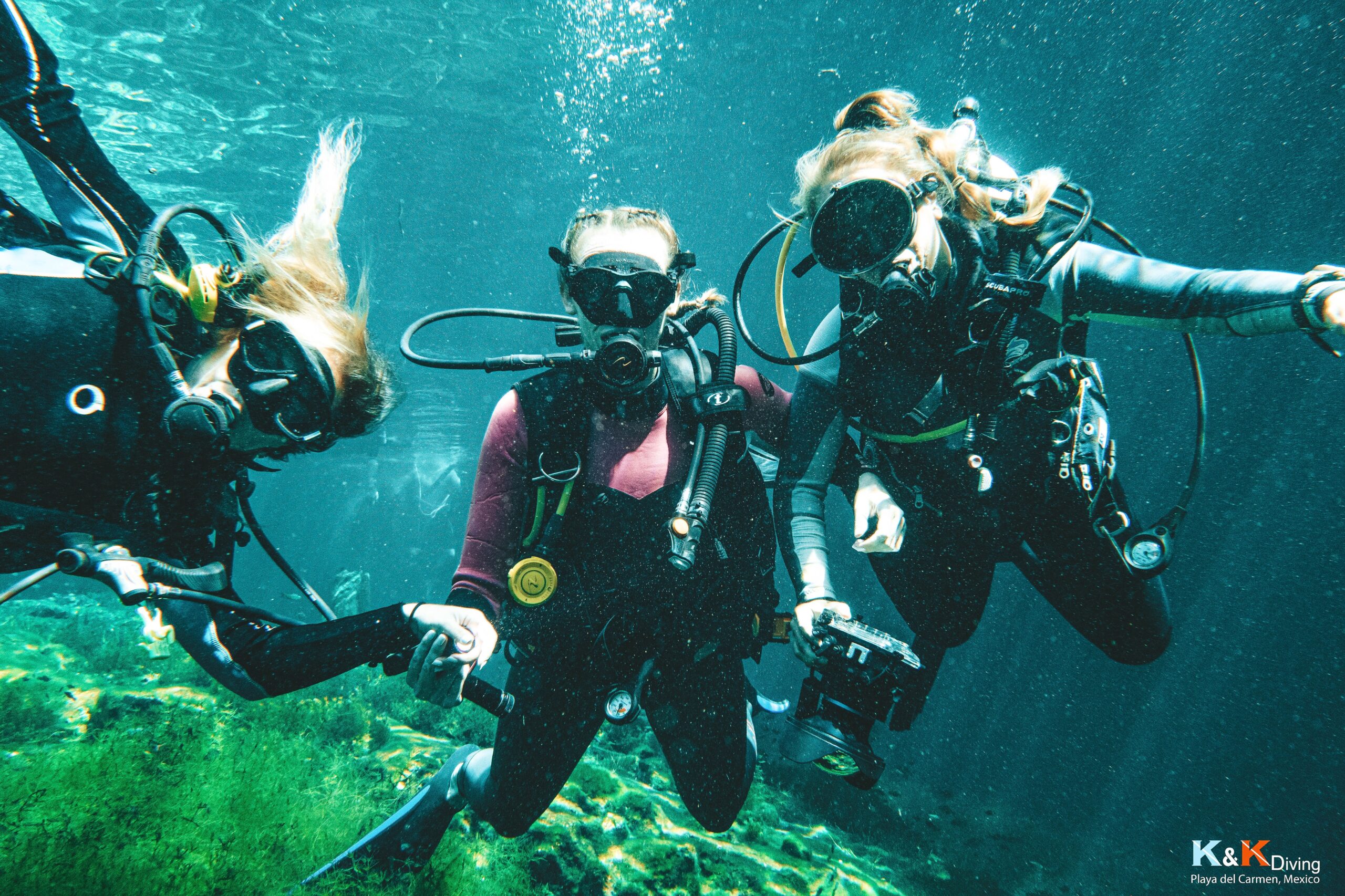 best scuba diving playa del carmen