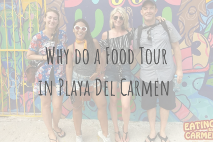 Adventures in Mexico _ Eating With Carmen _ Food Tour in Playa Del Carmen Review (1)