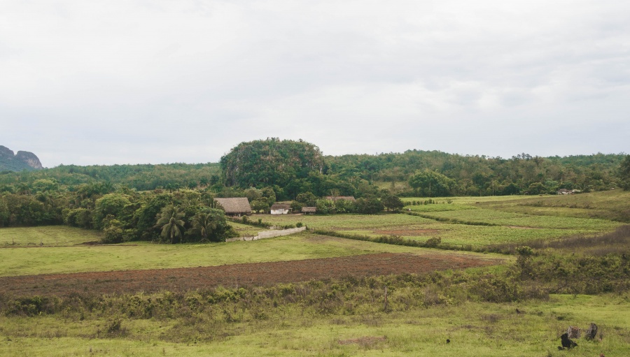 Exploring Cuba | How to Spend 48 hours in Viñales