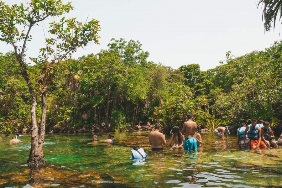 Adventures in Mexico _ Visiting Cenote Azul and Cenote Cristalino.
Cenote near playa del carmen