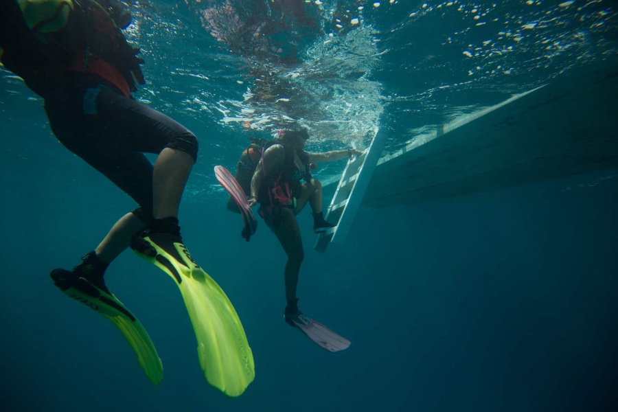 Adventures in Mexico | Scuba Diving in Puerto Morelos
