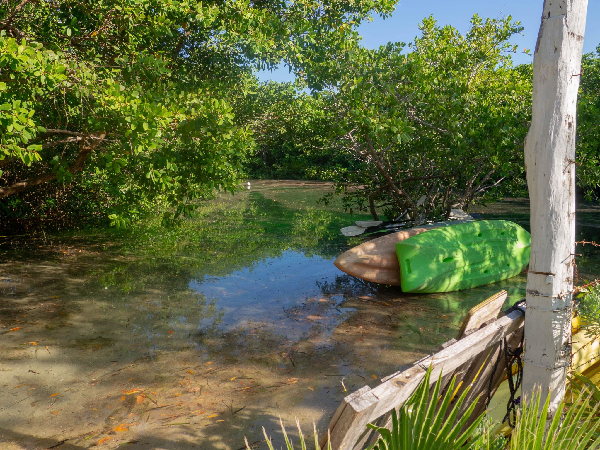 Mexican Adventures | The Best Tulum Cenote Diving