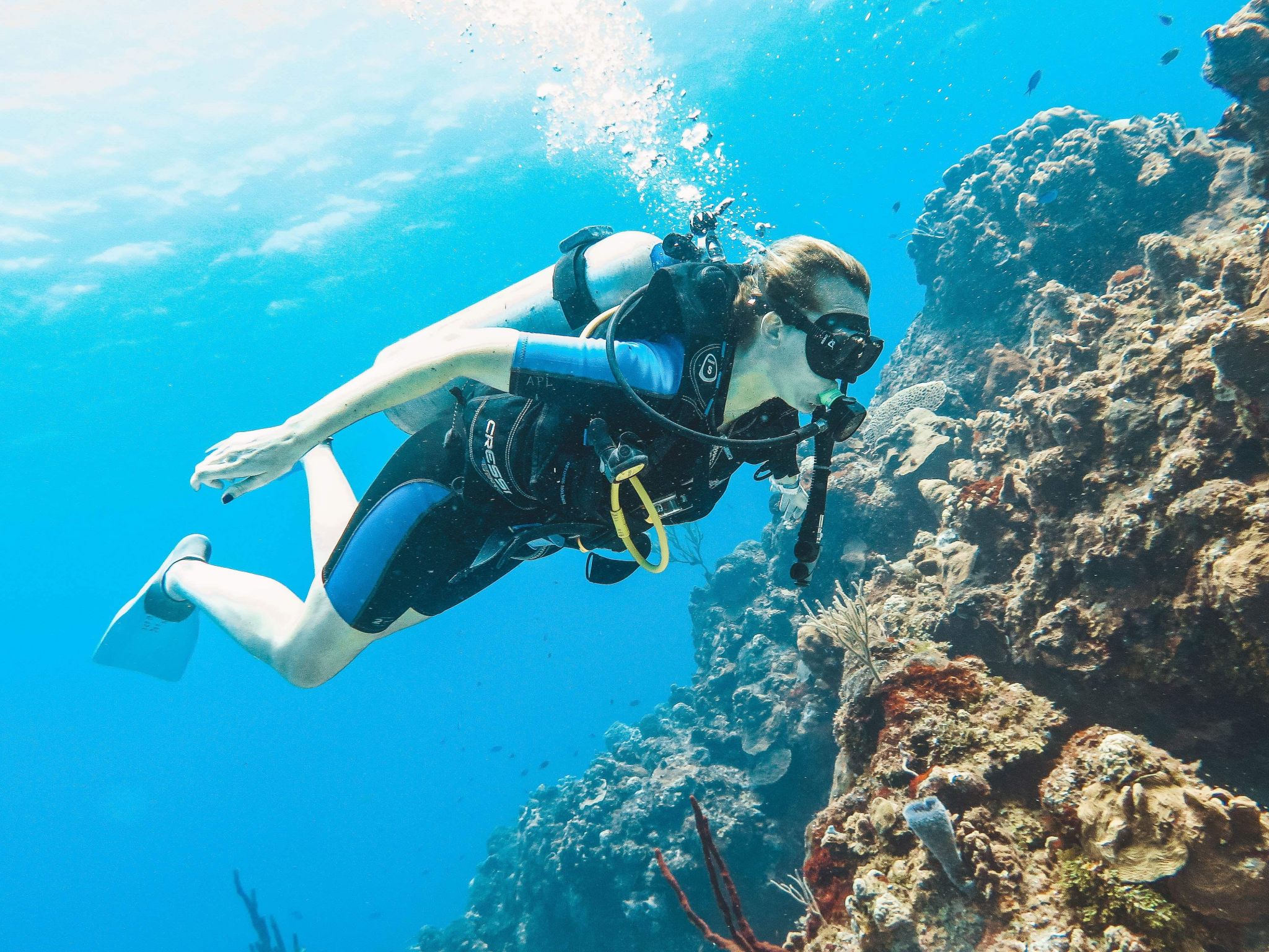 Scuba Dive Cozumel : Blue Note Scuba