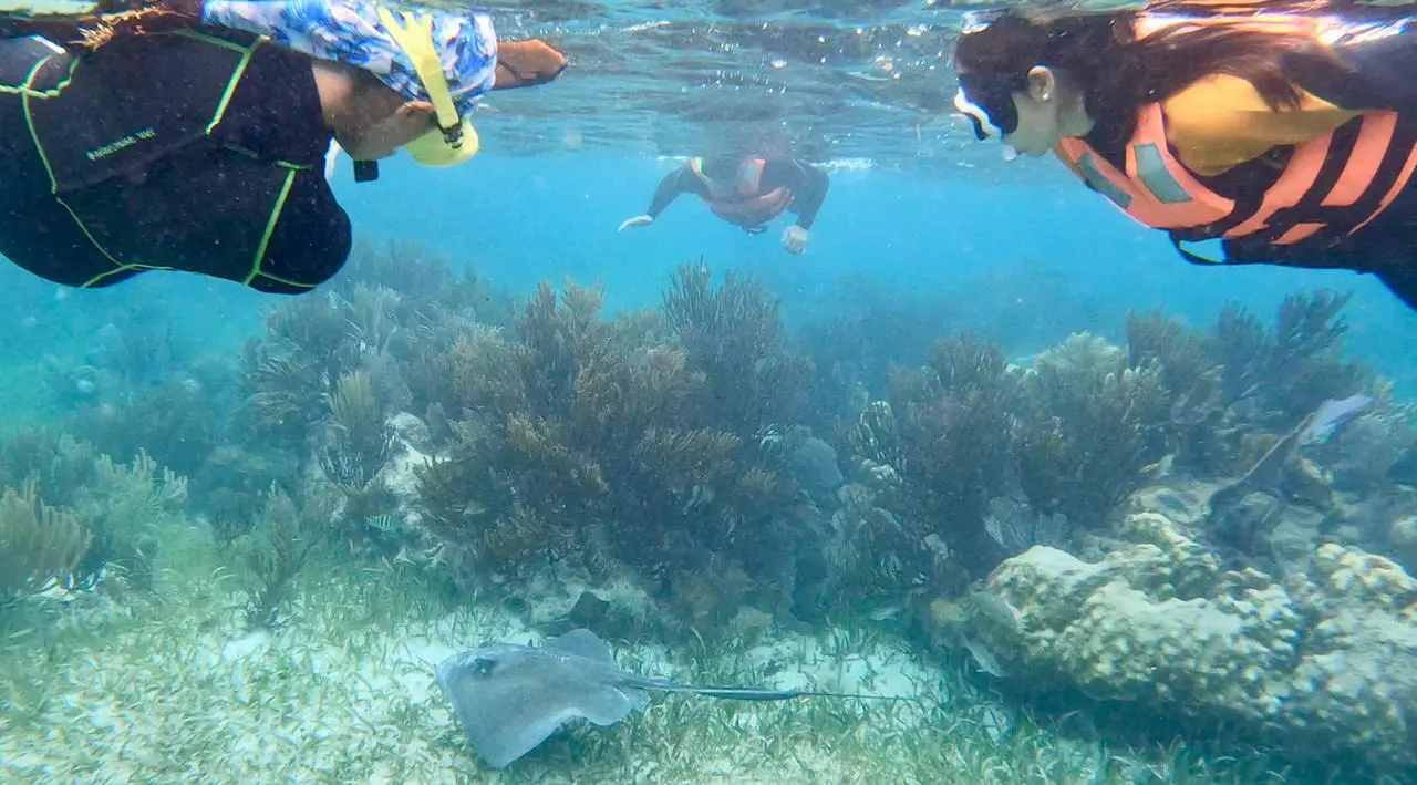 Lighthouse tours Puerto Morelos