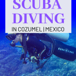 Looking for the best diving in Cozumel Mexico? Cozumel Mexico had world class diving and with so many companies to choose from it can be hard finding the best diving in Cozumel. Take a read of my experience scuba diving in Cozumel Mexico. #scubadiving #divingmexico #scubaDive #cozumelmexico