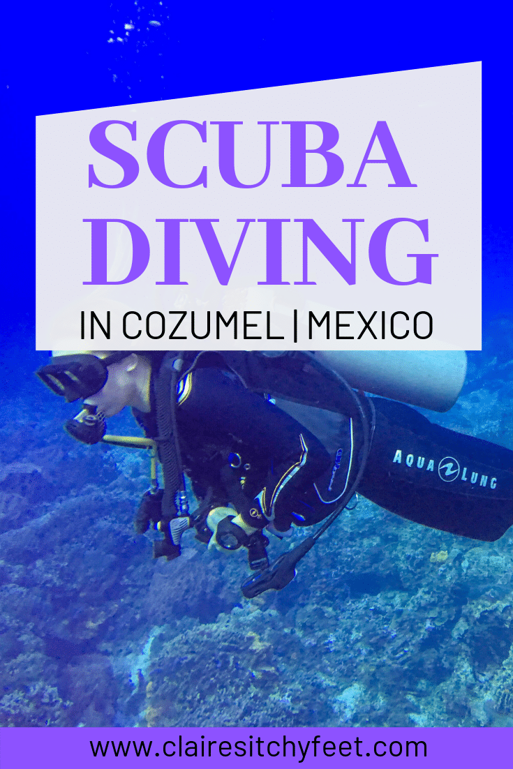 Cozumel Scuba Diving | Why Dive in Cozumel [2023 Update]