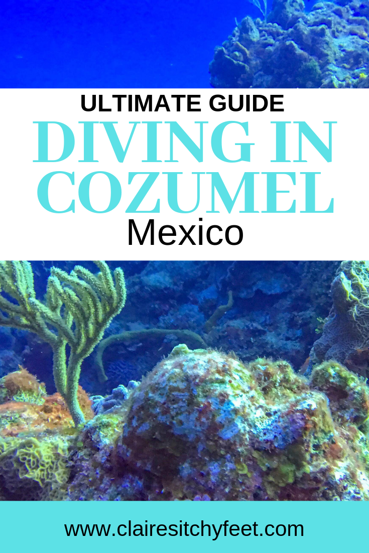The Ultimate Guide to Diving in Cozumel [2023]