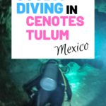 Tulum Cenote Diving