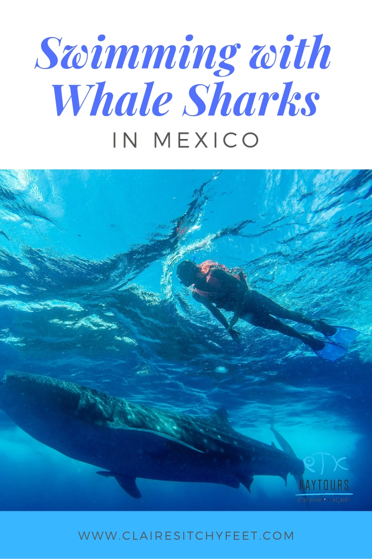 playa del carmen whale shark excursion