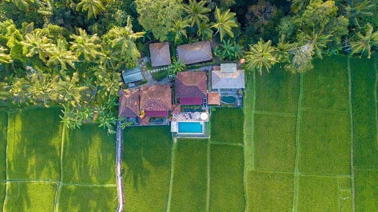 8 day wellness retreat bali