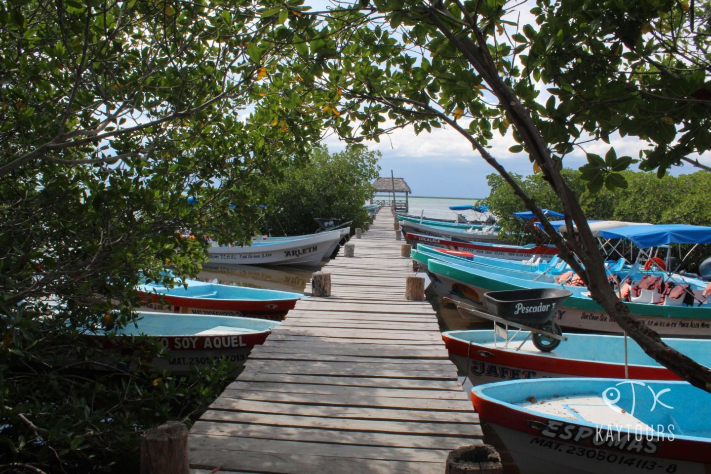 punta allen sian ka an mexico