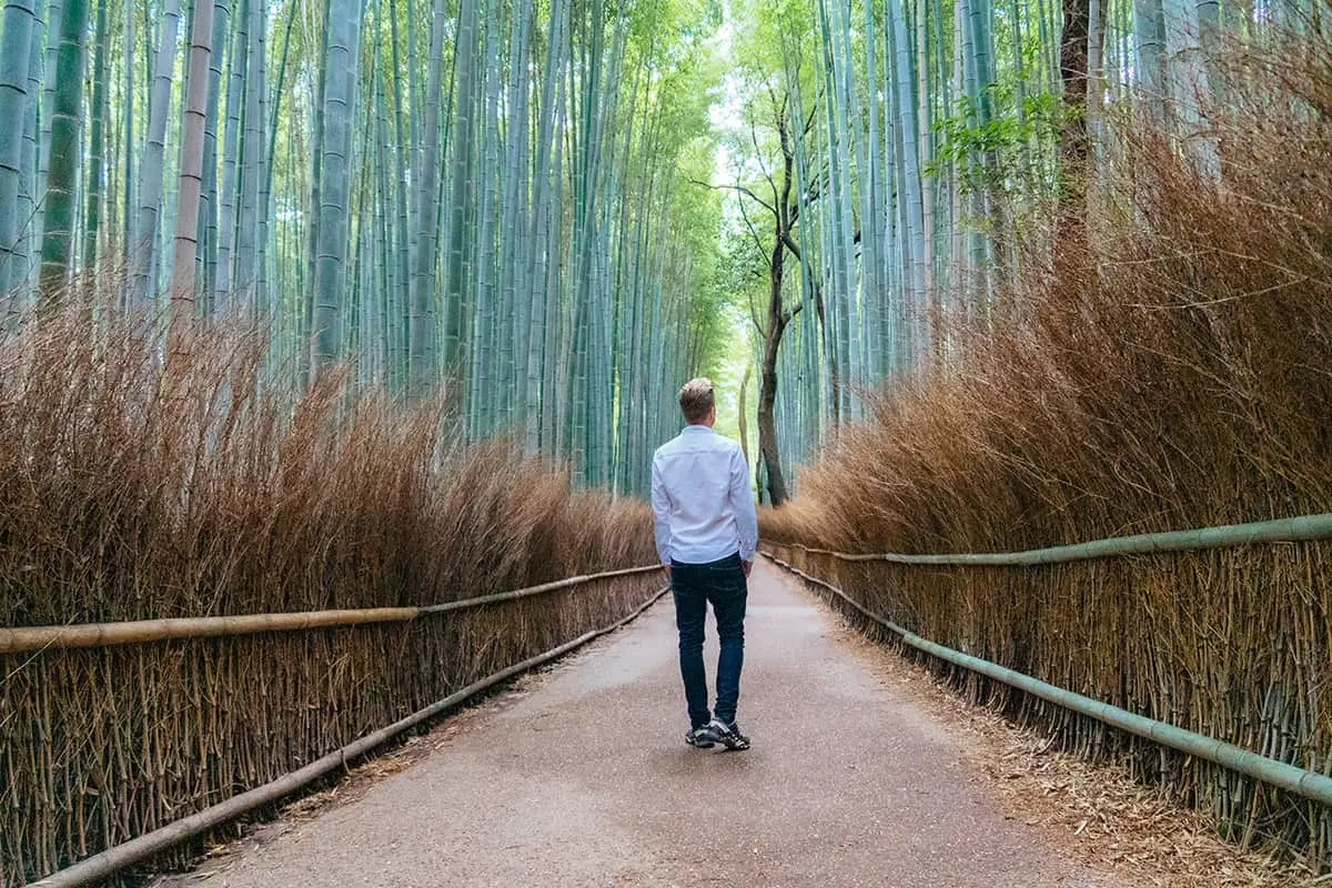 Kyoto shrines and temples