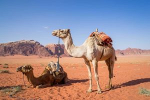 planning a trip to Jordan | Jordan travel tips