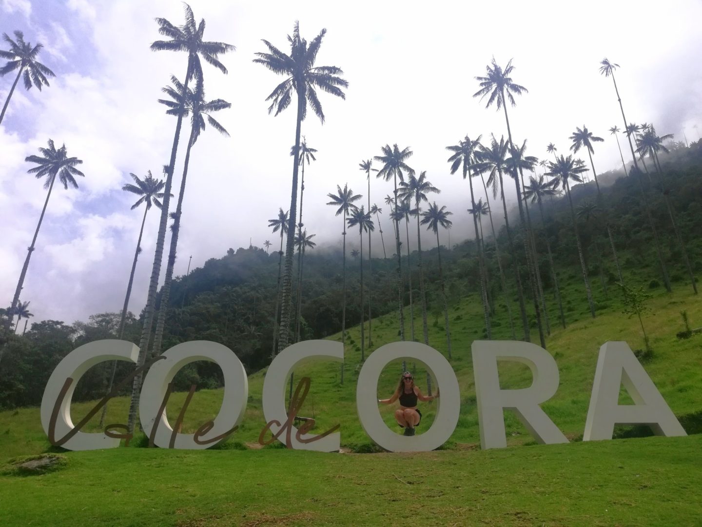 Colombia trekking Valle de Cocora