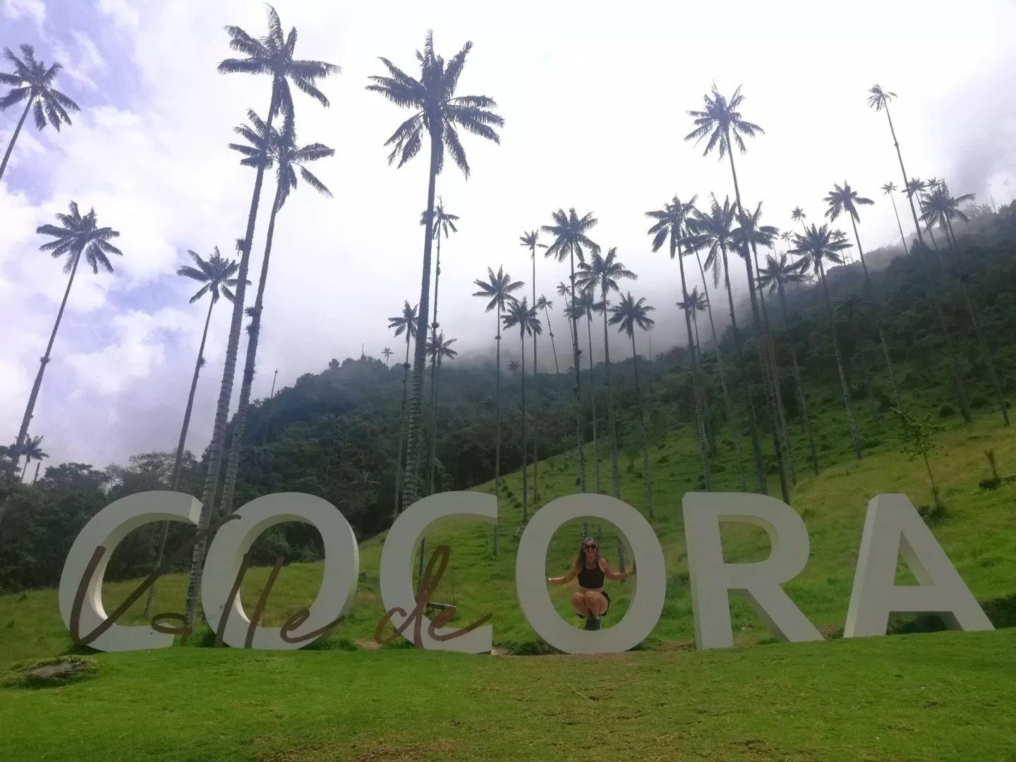 Colombia trekking Valle de Cocora