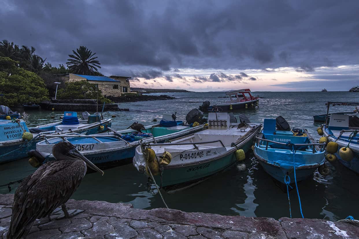 2 weeks in Ecuador