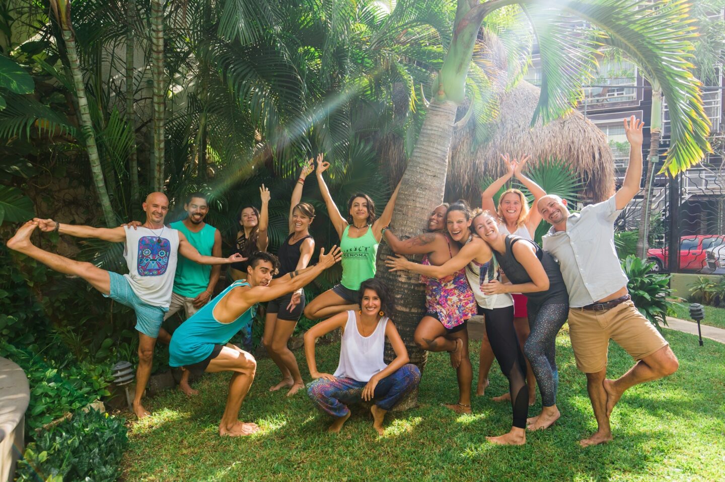 yoga tribe playa del carmen