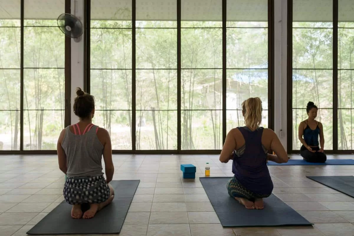 The Best online yoga teacher training courses