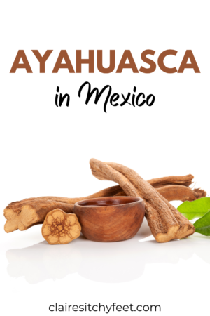 My Personal Journey With Ayahuasca Mexico