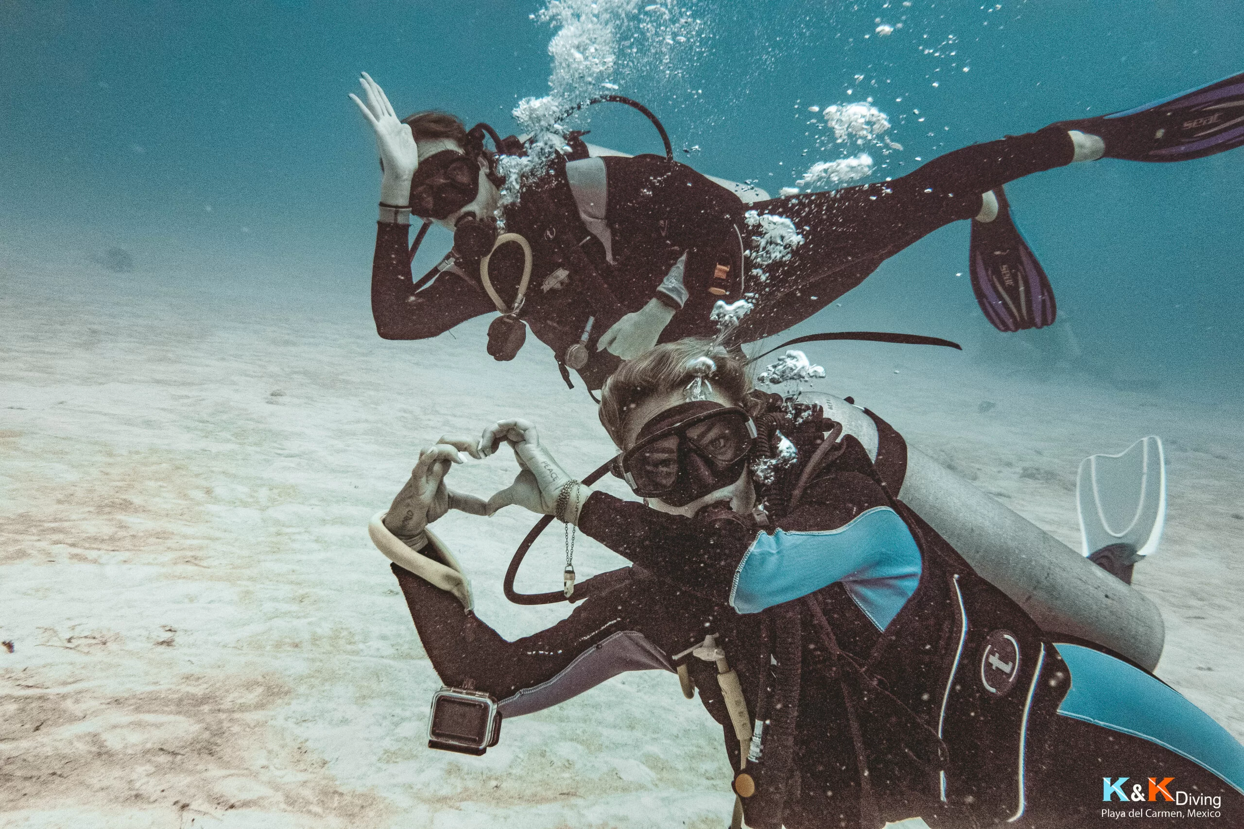 diving with bull sharks in mexico